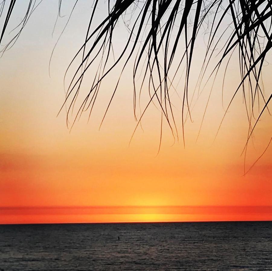 #212 Surf Song Resort St. Pete Beach Eksteriør bilde